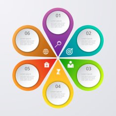 Vector illustration infographics six options N7