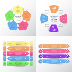 Vector infographics set N16