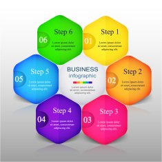 Vector infographic N259
