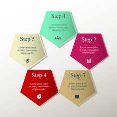 Vector infographic N261