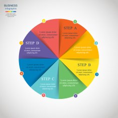Vector infographic N262