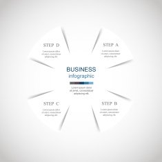Vector infographic N271