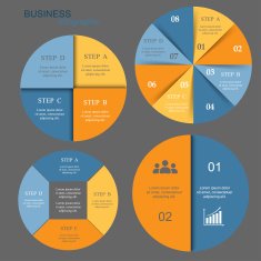 Vector infographics set N18