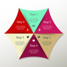 Vector infographic N275
