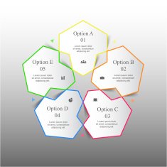 Vector infographic N282