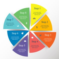 Vector infographic N294