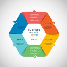 Vector infographic N297