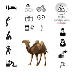 MERS corona virus influenza