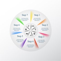 Vector infographic N309