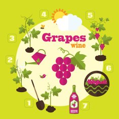 Vector garden illustration in flat style N4