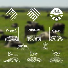 Organic eco bio green labels and icons set