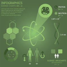 Science Infographics Infocharts N2