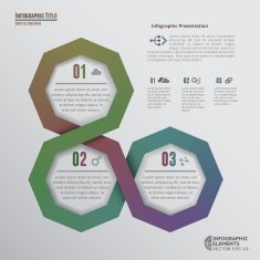 Octagons Infographic Elements - 3 Options