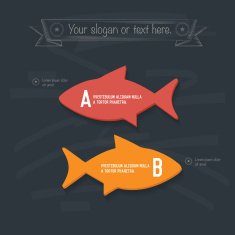 Fish Infographic design on blackboard background vector