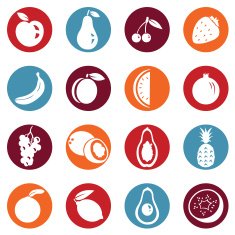 Vector Set of Fruit Icons N5