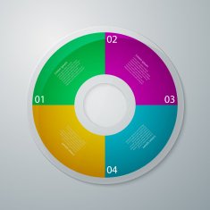 Vector illustration infographics circle with four quadrants N2