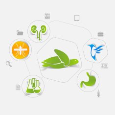 Veterinary sticker infographic N27