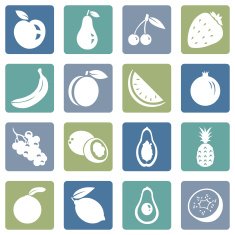 Vector Set of Fruit Icons N6