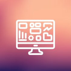 Monitor with business graph thin line icon N3