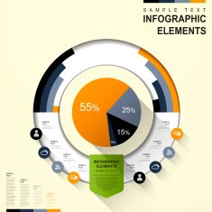 abstract pie chart infographics N6