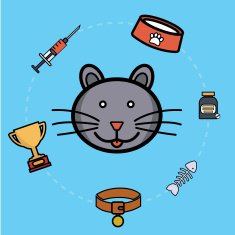 Pet care healthcare accessories