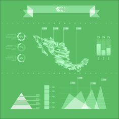 Mexico Infographic Report Template N2