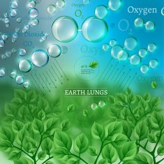 03 Infographics Bio Tree