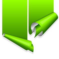 Green sticker with curled up edge N2