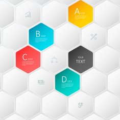 modern vector abstract 3d hive infographic elements N2