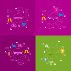 Veterinary sticker infographic N30