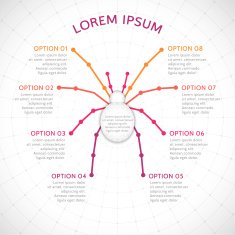 Infographics template - spider Vector illustration