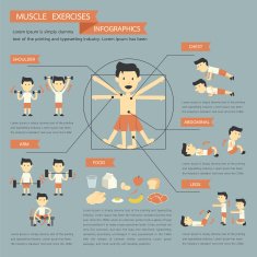 Muscle Exercises infographics N2