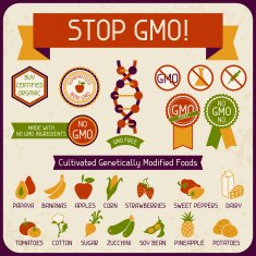 Information Poster Stop GMO!