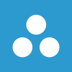 circle diagram icon white on the blue background N2
