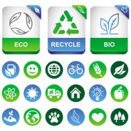Vector ecology infographics elements
