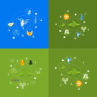 Veterinary sticker infographic N32