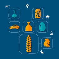 agriculture flat infographic N7