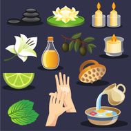 Vector spa icon set