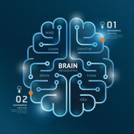 infographics vector brain design diagram banner line style N2