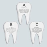 Vector tooth infographic Design template