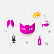 Veterinary sticker infographic N36