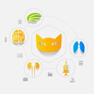 Veterinary sticker infographic N40