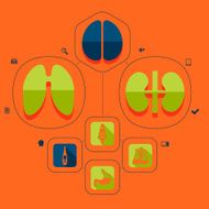 medicine flat infographic N24