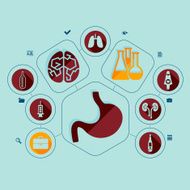 medicine flat infographic N25