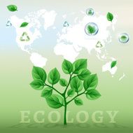 ecology world infographics