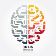 infographics vector brain design diagram line monochrome colour N2