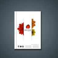 Vector flyer or banner Brochure template N11