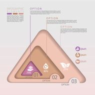 modern eco concept triangle infographic elements