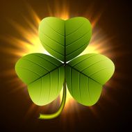 Trefoil clover N2