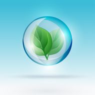 bubble with leaf